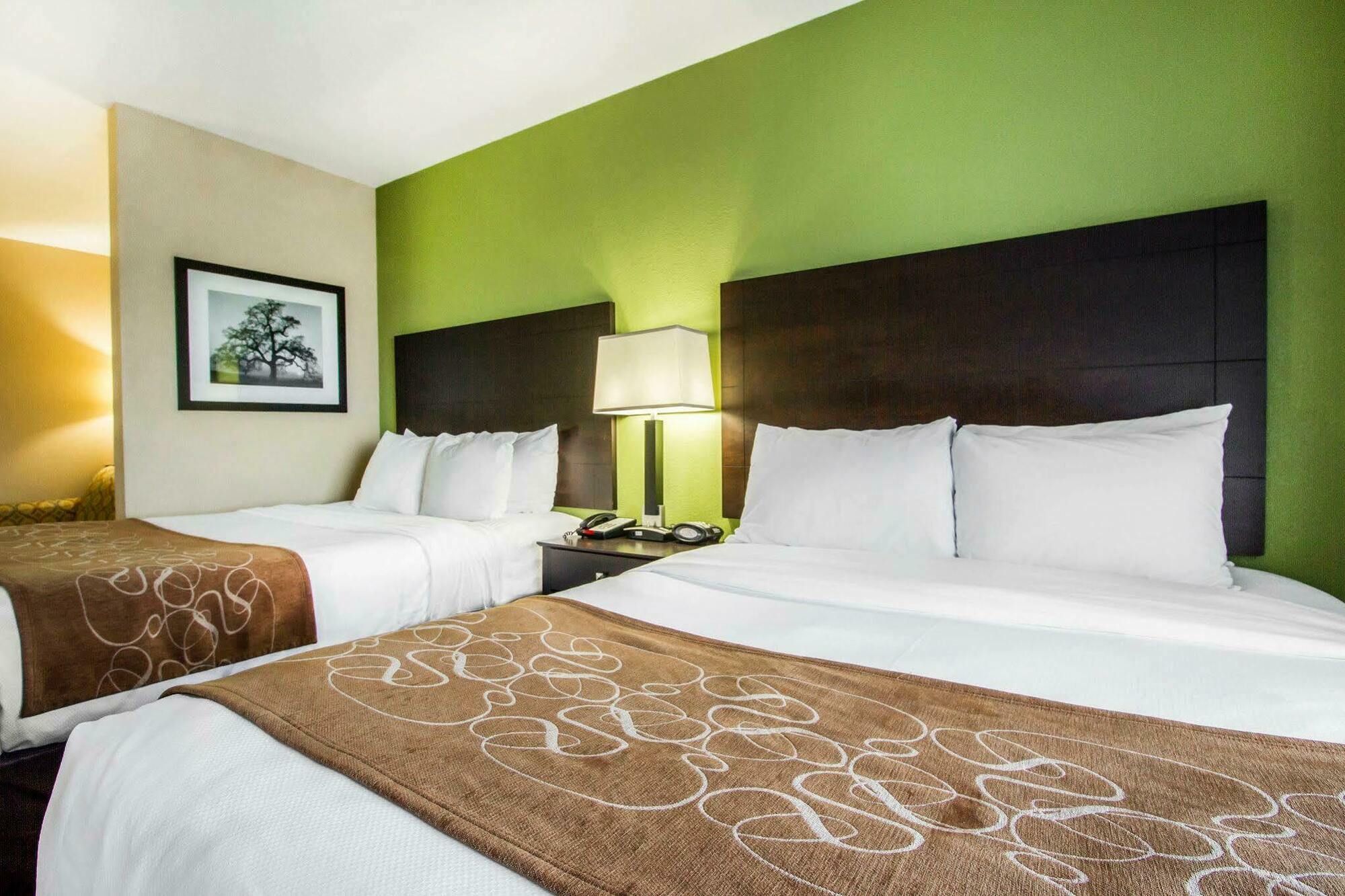 คอมฟอร์ต สวีท แจ็คสัน I-40 Hotel ภายนอก รูปภาพ